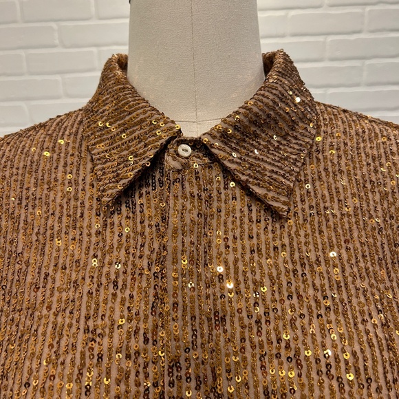 ZARA Copper Sequin Blouse - Picture 6 of 7